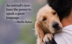 Image result for Caring for Animals Quotes
