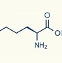 Image result for Essential Amino Acid