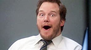 Image result for Chris Pratt as Andy Dwyer Pictures