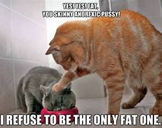Image result for Fat Cat Jokes