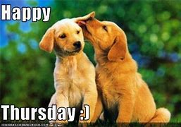 Image result for Happy Thursday Animals