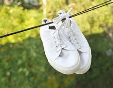 Image result for Sustainability Sneakers