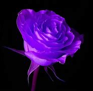 Image result for Cool Purple Backgrounds