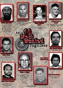 Image result for Toronto Most Wanted List