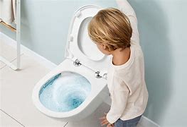 Image result for Toilet Flushes