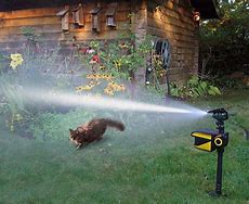 Image result for Motion Activated Sprinkler