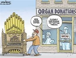 Image result for Cartoon Kidney Organ Transplant