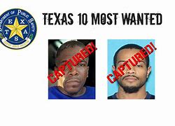 Image result for Long Island Most Wanted