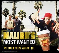 Image result for Malibu's Most Wanted
