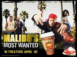 Image result for Malibu's Most Wanted Poster