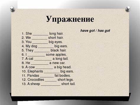 Упражнения на перевод с русского на английский для детей