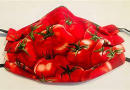 Image result for Tomato Face Mask
