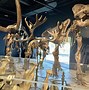 Image result for Indianapolis State Museum