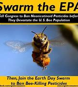 Image result for Save the Bees