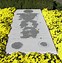 Image result for Truman Grave