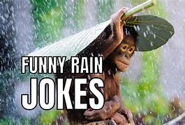 Image result for Funny Rain Jokes