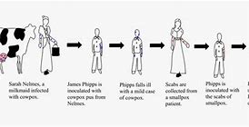 Image result for Smallpox Drawing