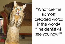 Image result for dental jokes of the day
