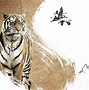 Image result for Oriental Tiger
