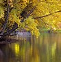 Image result for 4K Wallpapers Nature Lake