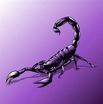 Image result for Scorpion Art