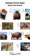 Image result for Animals Ask Questions