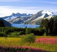 Image result for Pictures From Alaska