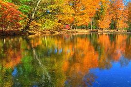Image result for Fall Computer Screensavers