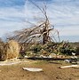 Image result for Kentucky Tornado Path On Map