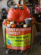 Image result for Pumpkin Contest