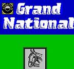 Image result for Grand National for Sale