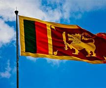 Image result for Sri Lanka Flag