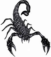 Image result for Black Scorpion Design