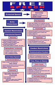 Image result for Constitutional Law Flow Chart