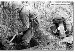 Image result for Dead Waffen SS