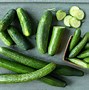 Image result for Aiy Cucumber