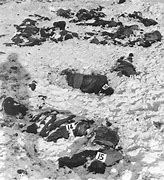 Image result for Malmedy Massacre