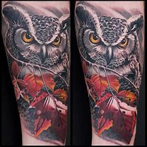Image result for Owl Tattoos for Men Half Sleeves