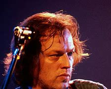 Image result for David Gilmour Fuzz Face