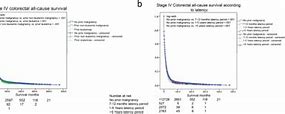 Image result for Stage 4 Cancer Patient