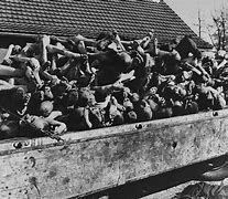Image result for Concentration Camps USA