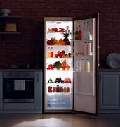 Image result for Samsung Refrigerator India