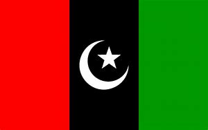 Image result for PPP Flag