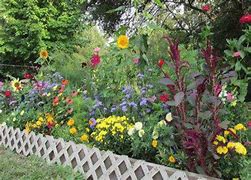 Image result for Beginner's Endless Bloom Perennial Garden