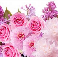 Image result for Cute Wallpaper for Kindle Flowers