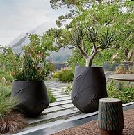 Image result for Tree Planters Large Outdoor Pots
