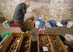 Image result for diy root cellar