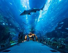 Image result for Dubai Underwater Houses
