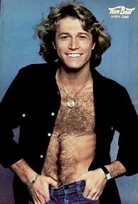 Image result for Andy Gibb Curly Hair