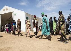 Image result for South Sudan Cows